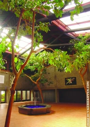 UUCB Atrium, photo courtesy of Valerie Kippen (c) 2004