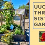 UUCB's Three Sisters Garden & Potluck